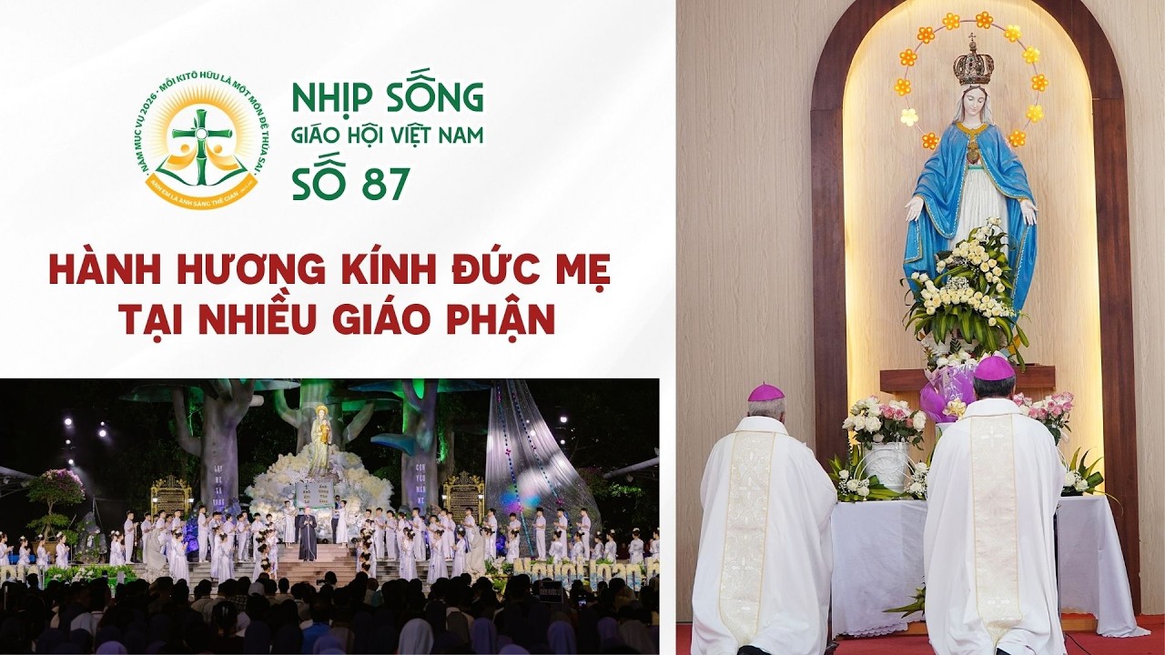 Nhịp Sống Giáo Hội Việt Nam - Số 87